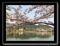 003 Kyoto Arashiyama Daikaku-ji